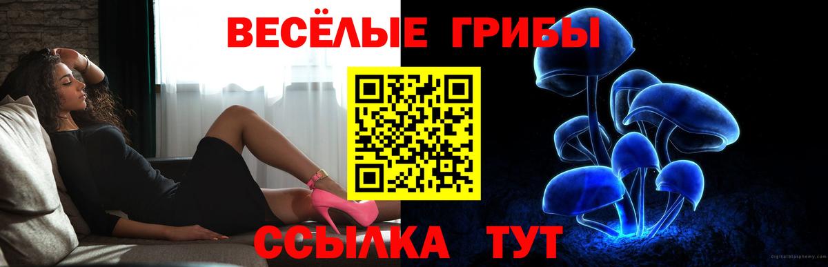 Котельники  Псилоцибиновые грибы мухоморы  Галлюциногенные грибы прущие грибы  Вход с VPN 